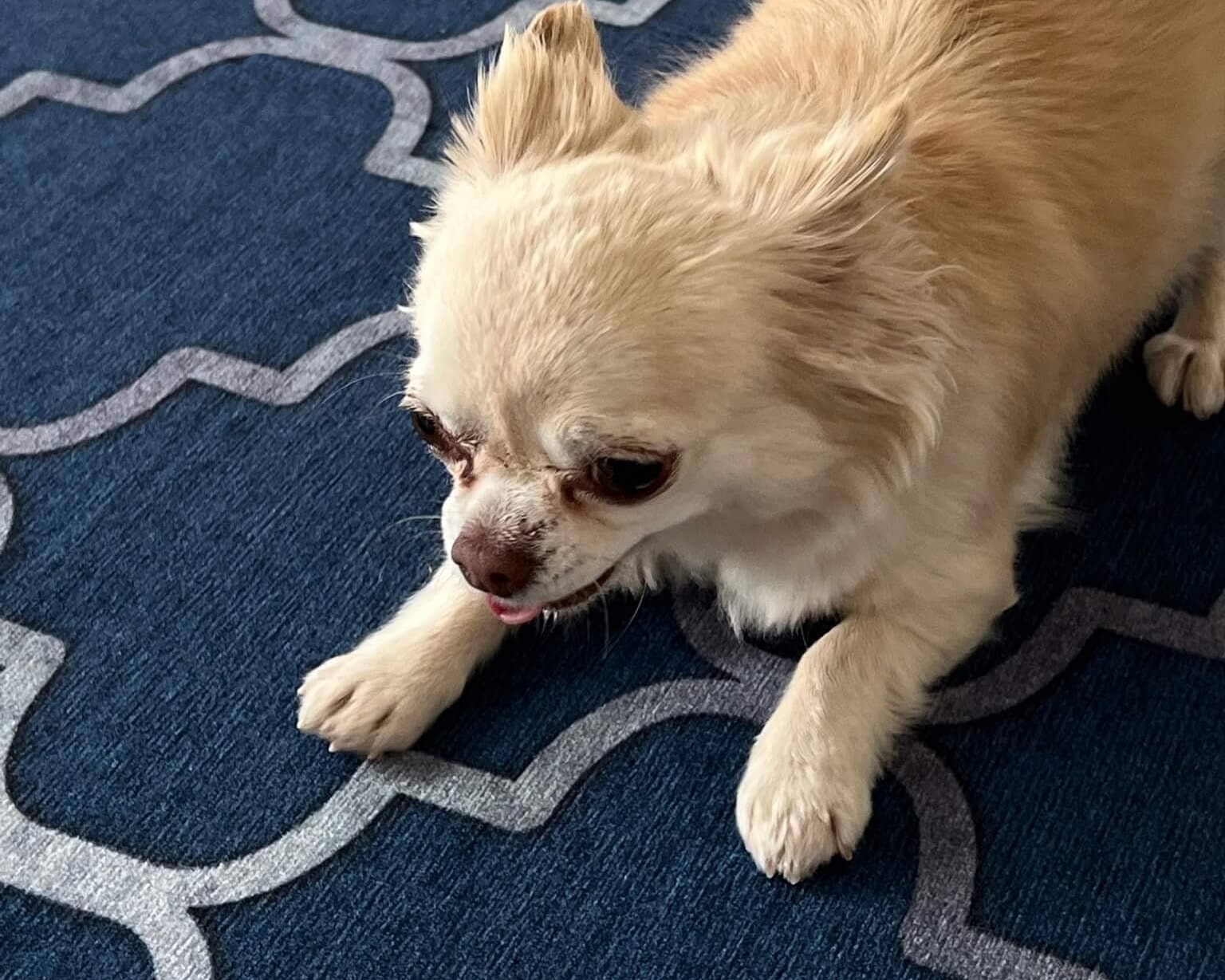 Геометрический ковер